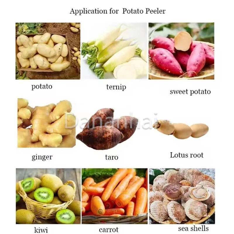 Description Picture 3 of itemPotato Peeling Machine Multi Functional Taro And Sweet Potato Peeler Industrial Electric Potato Cleaning And Peeling Machine