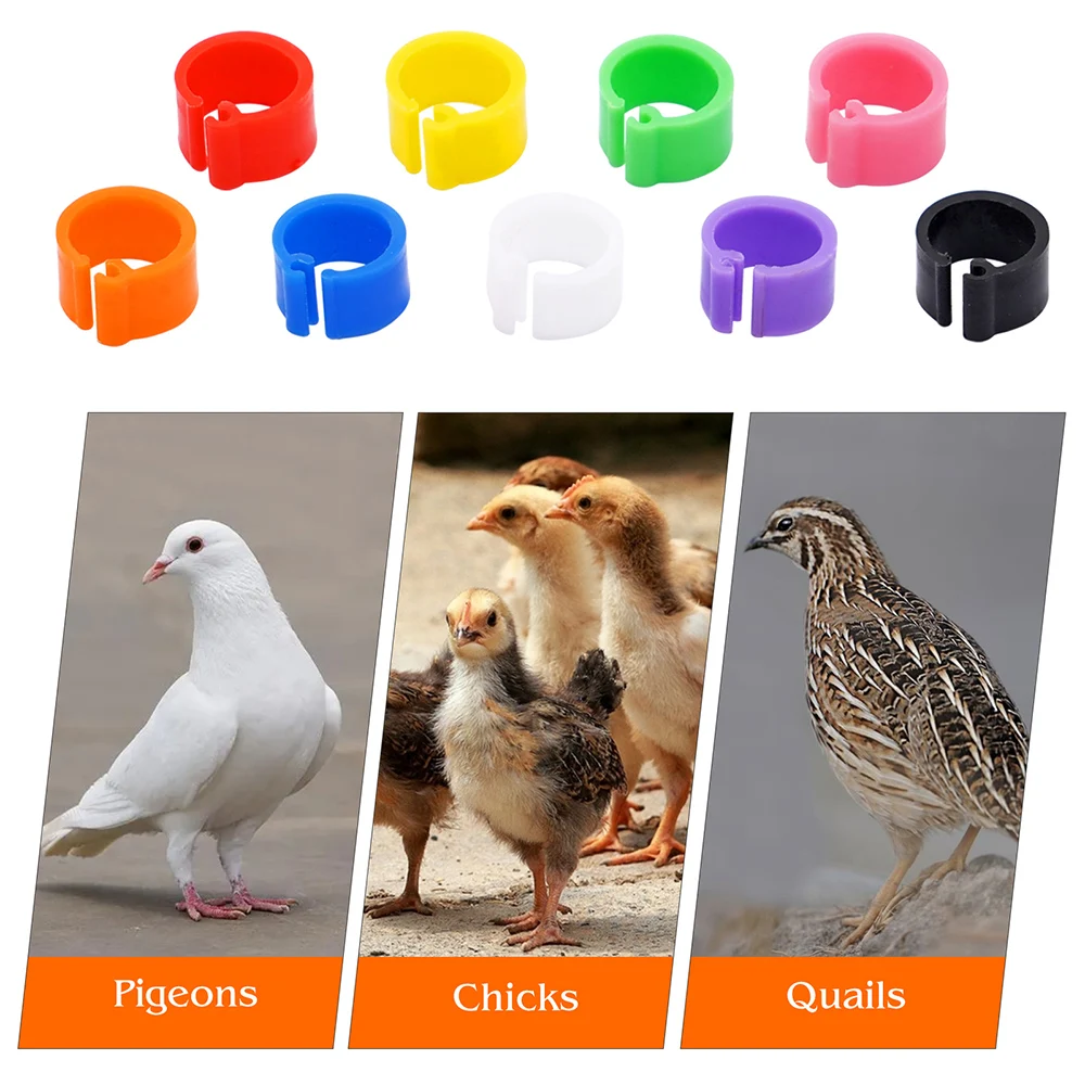 Bird Rings 100 Pcs Pigeons Identification Ring Opening Foot Appliances