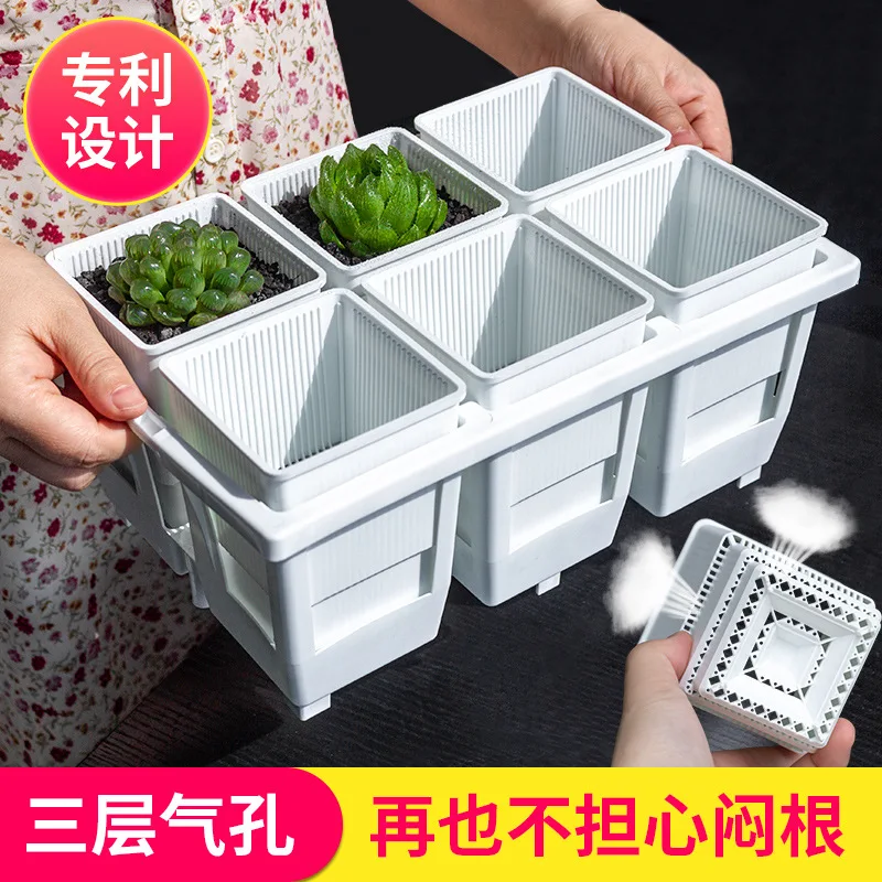 

Multi Fleshed Vientiane Old Pile Root Control Flower Pot Square Plastic Bracket Breathable Jade Dew High Pile Twelve Roll Specia