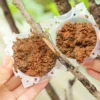10-100PCS Plant Rooting Ball Grafting Rooting Box Breeding Case High Pressure Plant Root Growing Box For Garden Planting Supply 2