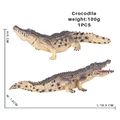 Crocodile