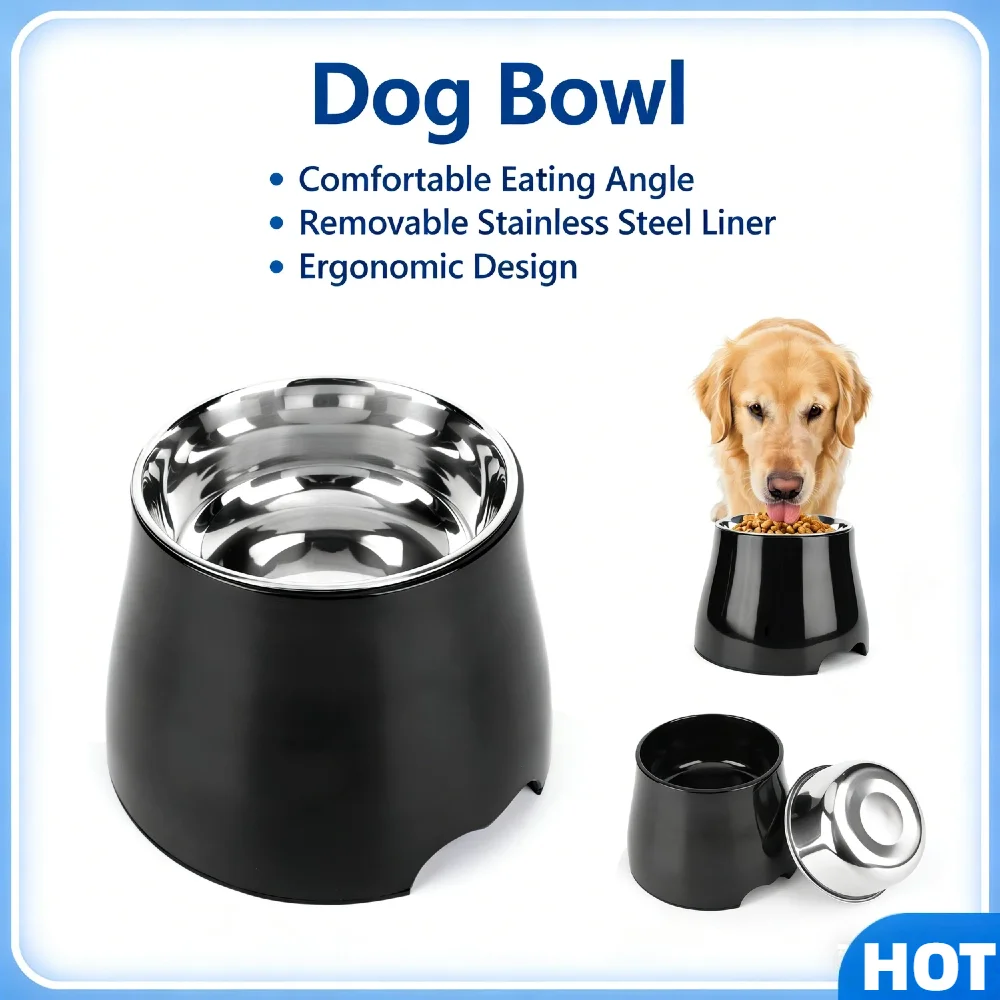 Elevated Stainless Steel Dog Bowl with Removable Liner