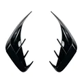 Glossy black