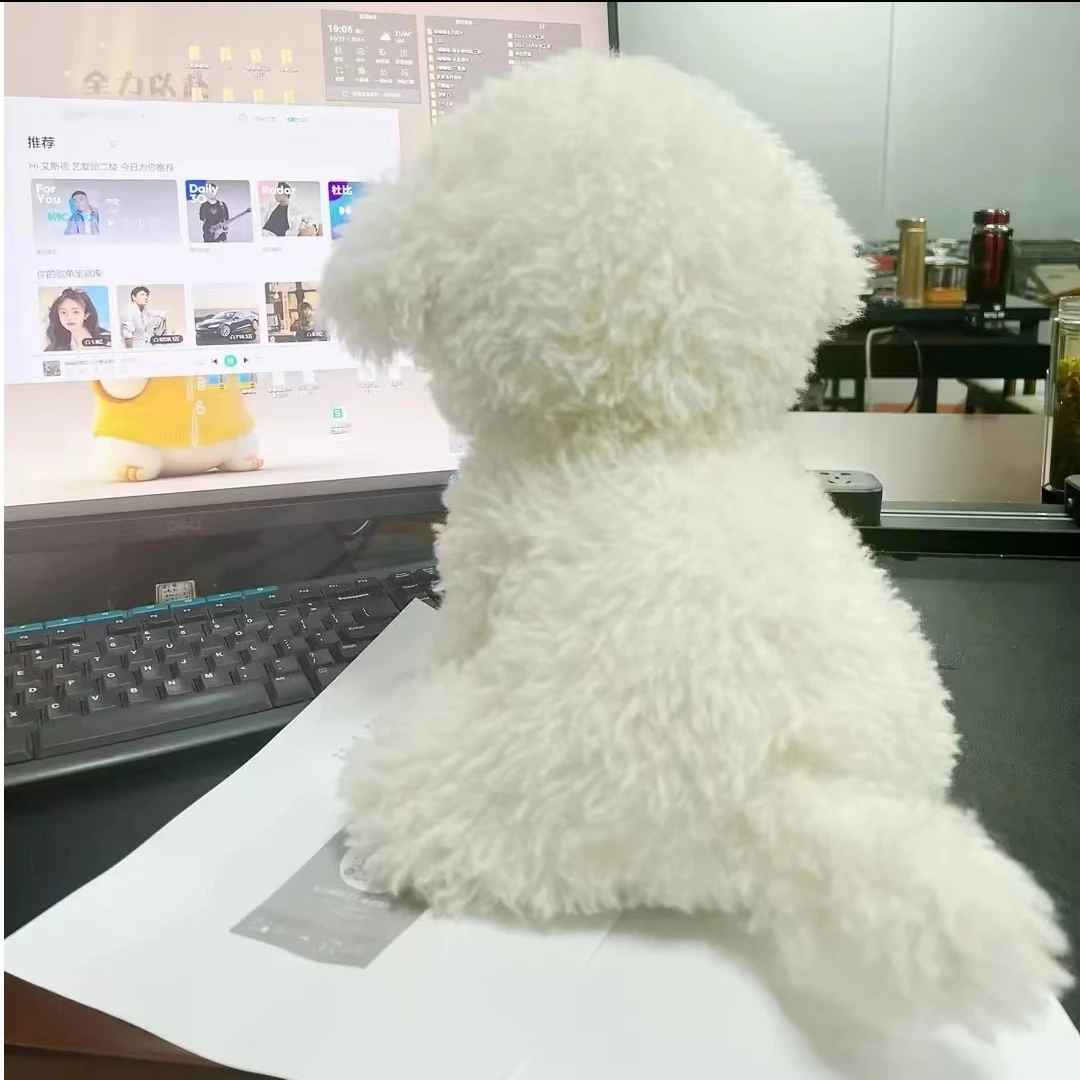 Cute Simulation Curly Dog Bichon Dog Plush Toy Kawaii Real Life Plush Toys Girl Birthday Girlfriend Gift Accessories 3