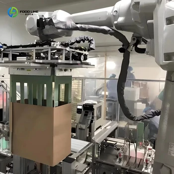 Braccio Robotico Personalizzato per Pallettizzazione, Impilamento e Movimentazione con Pinza Pneumatica