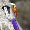 12KN Professional Safety Carabiner D Shaped Key Hook Aluminum Keychain Clip Climbing Security Master Lock Mountaineering Tool 1