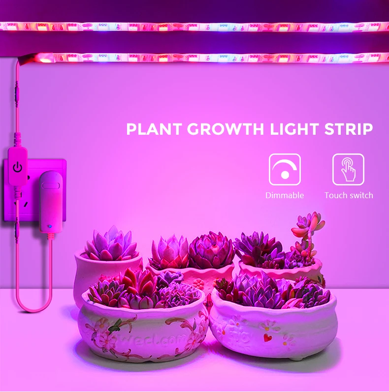 Description Picture 2 of item5M Led Plant Growing Light Full Spectrum Hydroponic Grow Lamps Touch Sensor Dimmable Switch Indoor Plants Seeds Phyto Lamp Strip