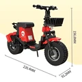 Red vehicle in bag