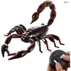 EBOYU 9992 Simulation RC Scorpion Remote Control Animal Vehicle Car Electric Scary Toy Halloween Kids Birthday Gift 1