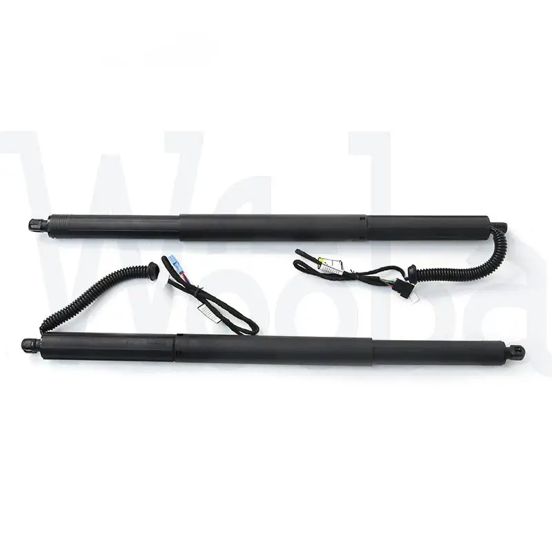 

Wooba Rear Left Electric Tailgate Gas Strut 51247232003 51247232004 For BMW X3 F25 sDrive 18d sDrive 20i xDrive 20d xDrive 20i