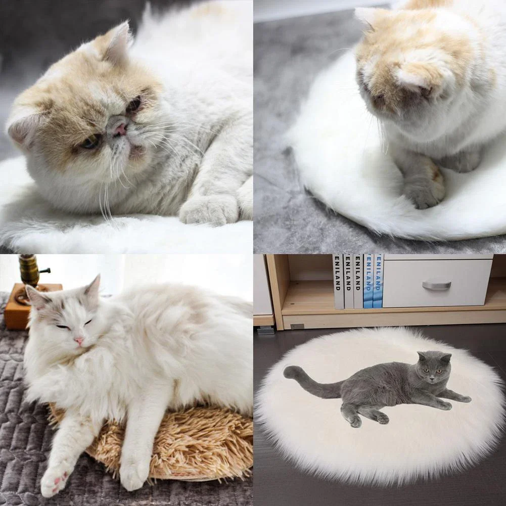 heating pads for cats