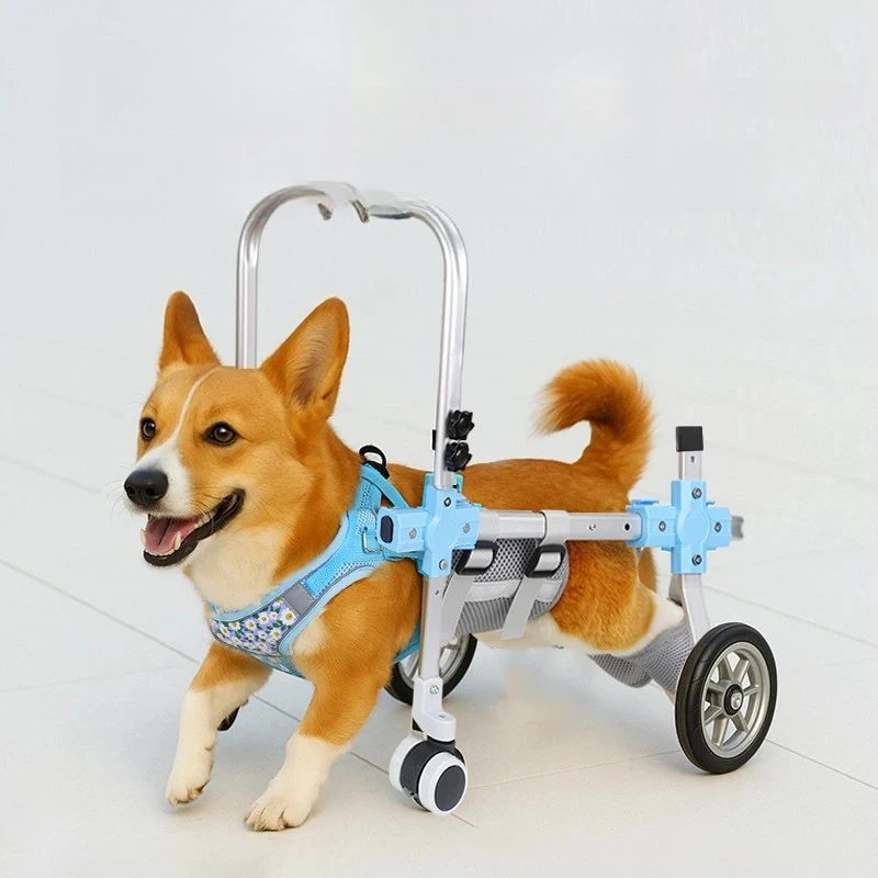 Adjustable Dog Wheelchair Hind Leg Support - 4-Wheel Mobility Cart with Harness for Senior/Disabled Pets Rehabilitation