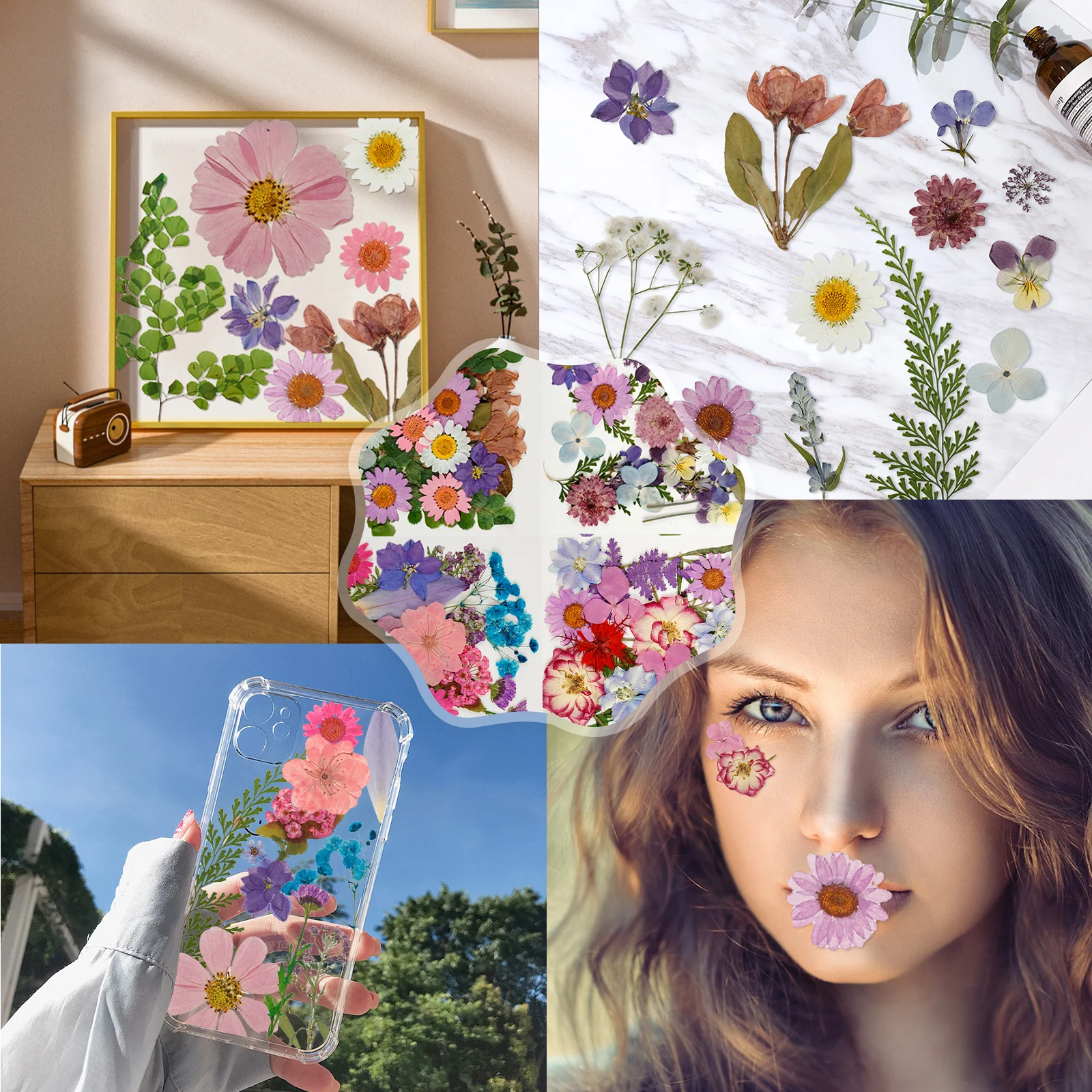 Fiori Secchi Naturali 66 Pezzi SUPRROW | Per Resina, Gioielli E Scrapbooking | Colori E Forme Varie - Foto 7