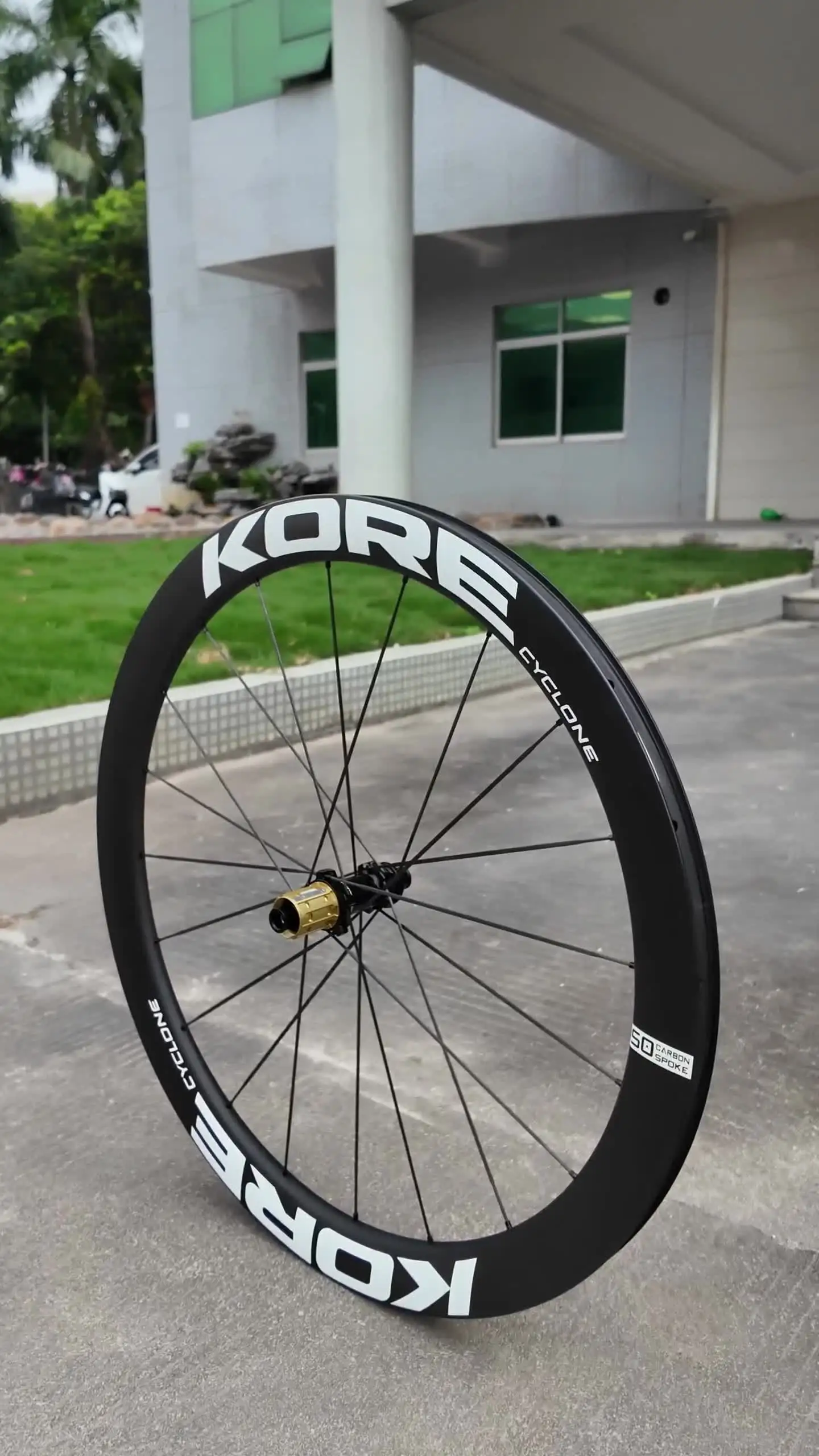 Carbon Road Wheelset 700c 50mm T1000 36T/60T Disc Brake