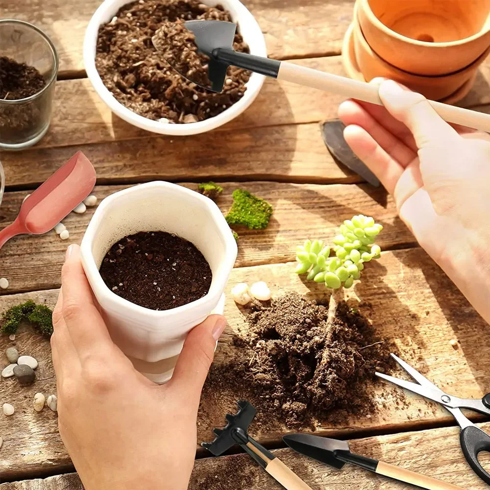 13PCS Succulent Plants Tool Set for Indoor Plant Home Garden Kit Black Potting Cactus Houseplant Cultivation Tool Gardenning Kit 3