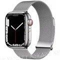 Sliver 1