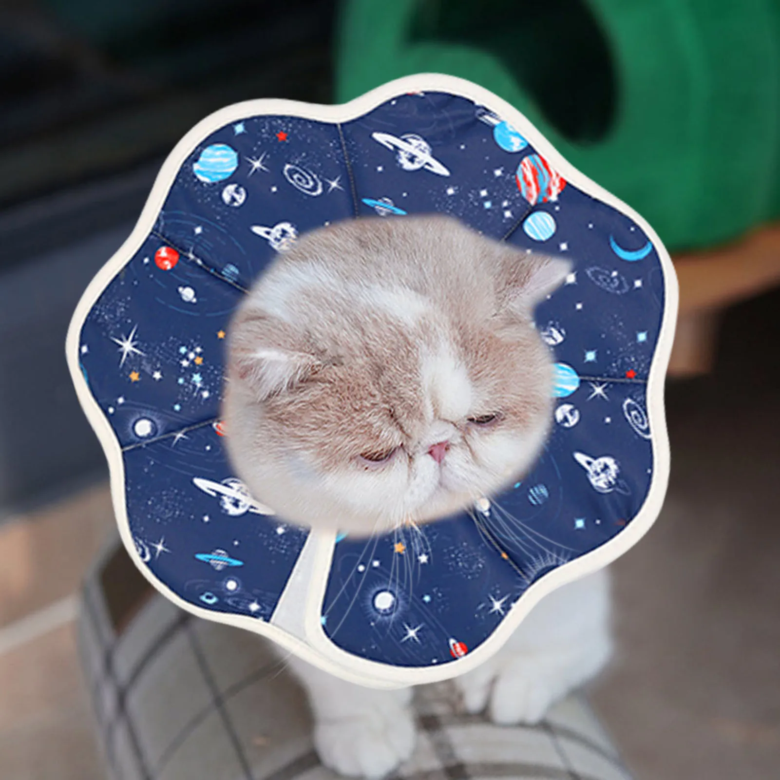 Elizabethan Collar Protective Cat Recovery Collar MintCat Cat Cone Adjustable Pet Cone for Kitten Puppy Rabbit Soft Cone for Small Dogs After Surgery 