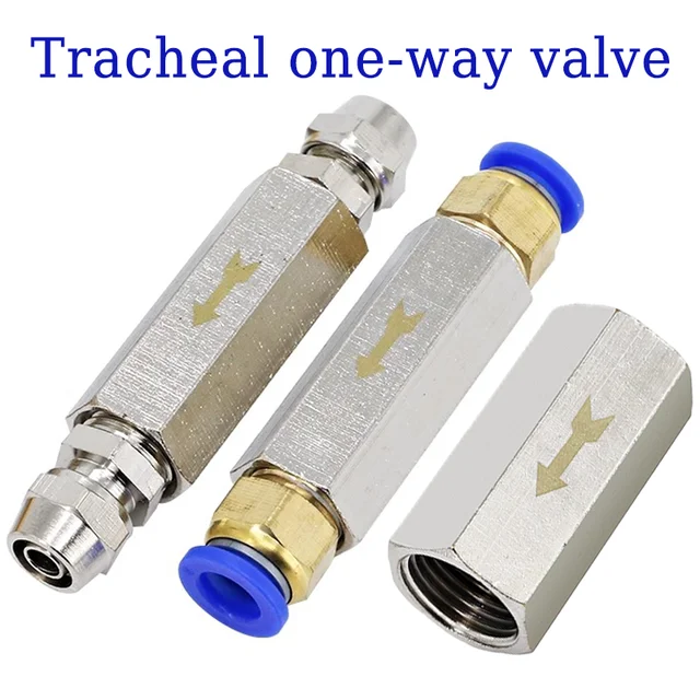 Pneumatic Check Valve 6mm 8mm 10mm 1/4 OD Hose One Way Valve Air Gas Single Way Brass Valve Air Compressor Pipe Fitting Adapter 1