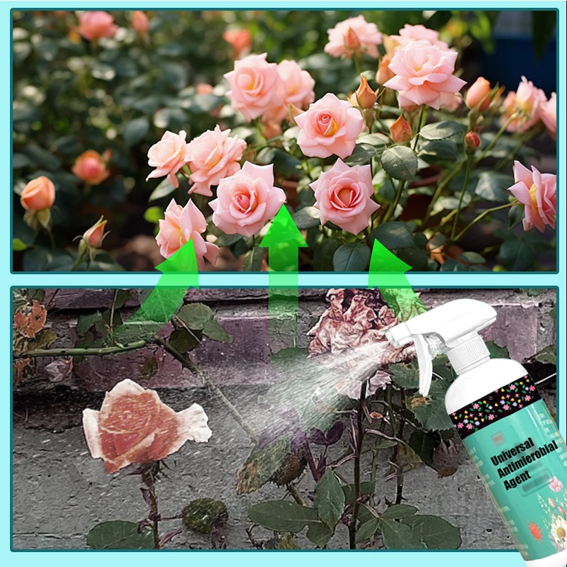 Slide image 84c76f861b064dcfba924dd9f6c247ae