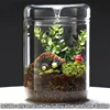 Glass Bottles Creativity Dew Collection Glass Vase Micro Landscape Succulent Moss Landscape Glass Terrarium Home Decor 1