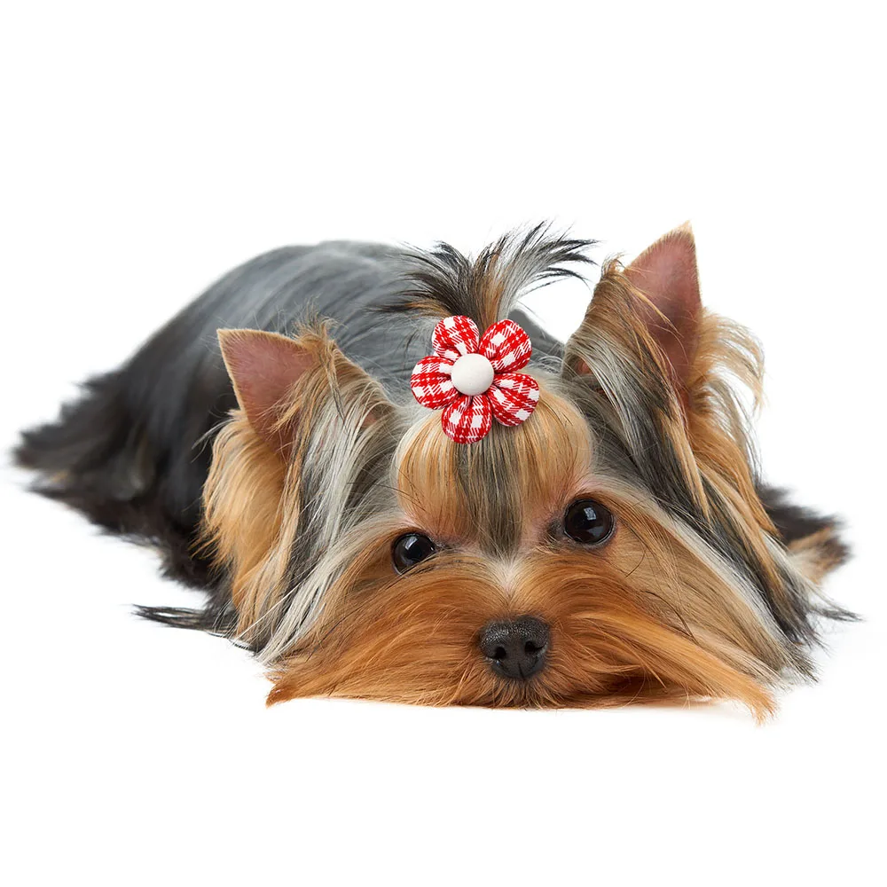 10/20pcs Flower Dog Hair Bow Red Style Valentine's Day Decorate Dog Bowknot with Rubber Bands for Small Dog Puppy Accessories 3