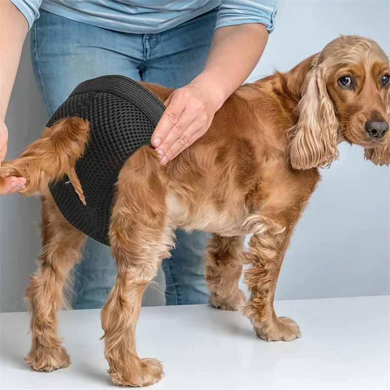 Female Dog Panties with 3 Cotton Pads Reusable Diapers Pet Breathable Mesh Flexible Adjusting Buckle Washable Sanitary Wraps dog diapers,pet diapers,dog nappies