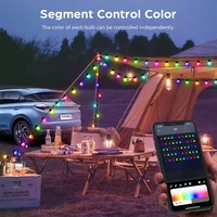 WS2812B RGB LED String Garland Light 10m 5m Smart IC APP Bluetooth Remote Fairy Lights Dreamcolor Garden Party Christmas Decor - Image 5