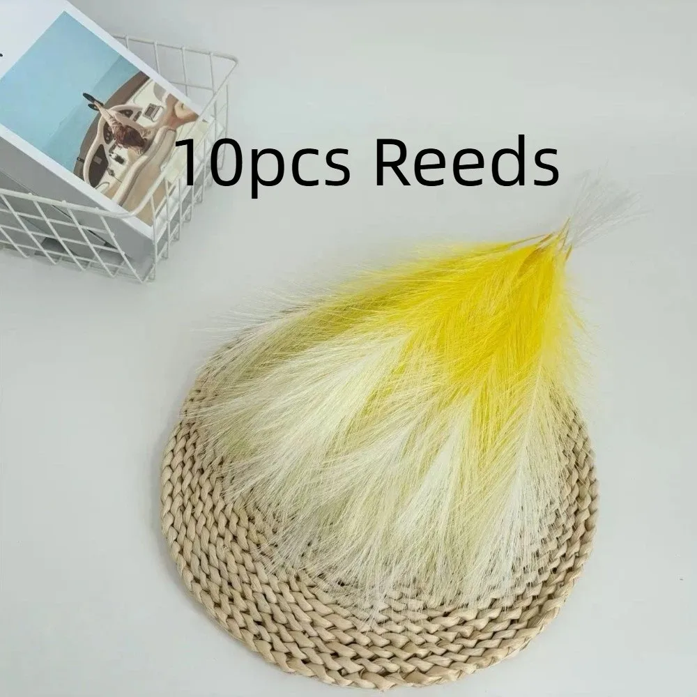 Vibrant Festival Decoration Pampas Grass Arrangement