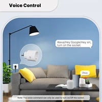 MOES Smart Plug Matter Wi-Fi Socket 16A Smart Timer Outlet Power Monitor Support TUYA  Apple Homekit Work With Google Home Alexa - Image 6