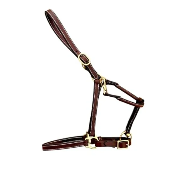 Everyday Turnout Halter for Horses: Handmade 3/4 Wide Vegetable-Tanned Leather Solid Brass Hardware Hand Machine Stitched Natur