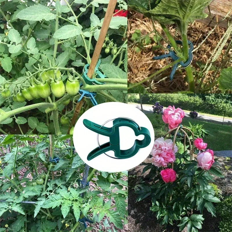 Durable Plastic Garden Plant Support Clips Green Lever Ring Clips Vines Organizing Stems & Branches 50pcs plastic plant clips plastic plant supports plant clips plant stem support plant support connector plant support stick