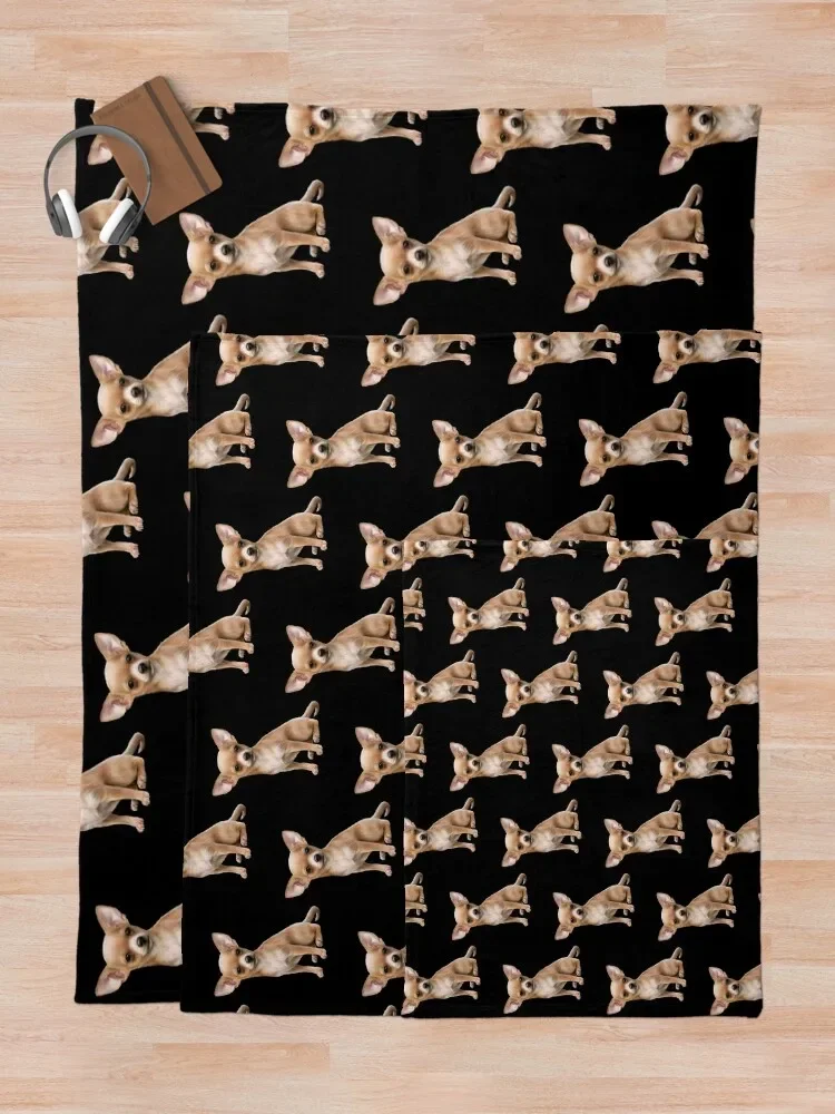 ġ�Ϳ� ������ ���, ���� ��� ���, �ʴ��� ������ ���