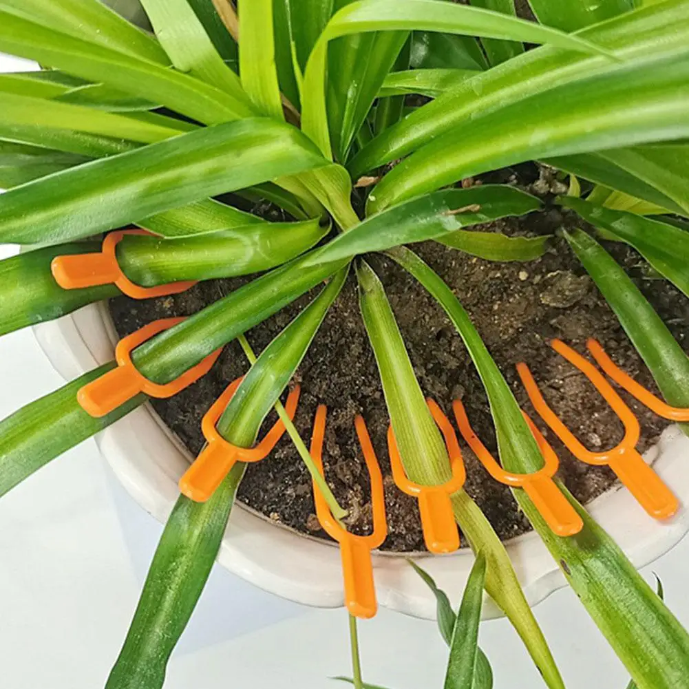 Description Picture 2 of itemPlant Stem Stolon Fixator 55MM 65MM Garden Strawberry Plant Fastening Clamp Fork Watermelon Fixture Planting Support Clip U6Z5