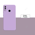 Grass Purple