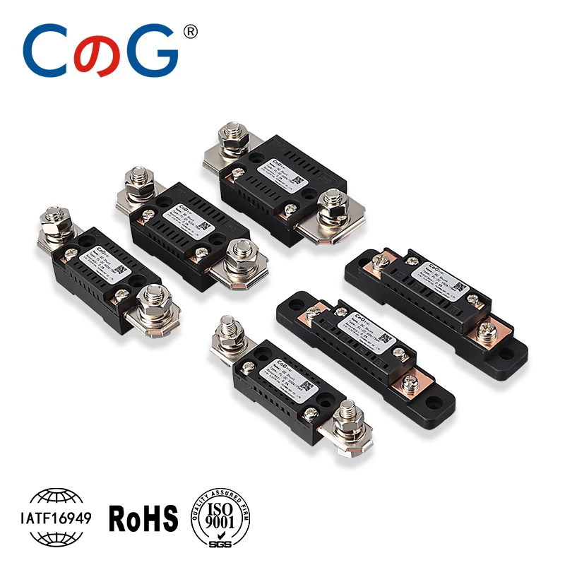 Current Shunt Resistor CG FL-2C Shunt 10A 20A 50A 100A 150A 200A 300A 400A 500A 600A 750A 75mV DC