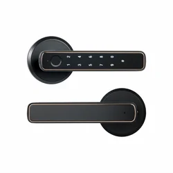Tuya Bluetooth Smart Fingerprint Door Lock with Password and Key Access (Black)