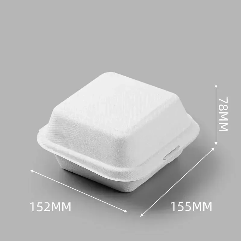 Eco-Friendly Disposable Bento Lunch and Party Packaging Box