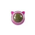 B- pink 002