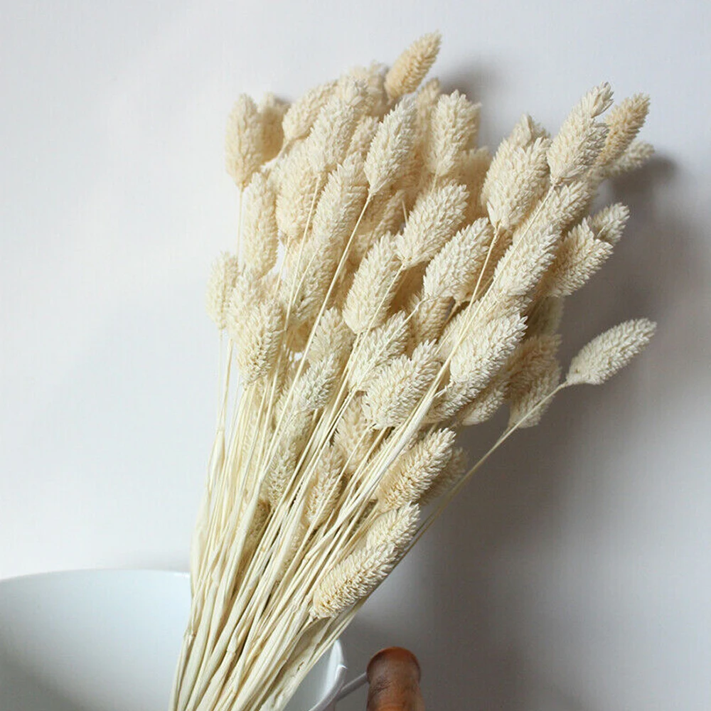 Natural White Dried Flowers Pampas Grass Decor Rabbit Tail