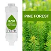 Pine Forest