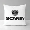 Duplex Printing Pillow Covers Decorative Sofa Cushions Scania Cushion Cover 45*45 Ornamental Pillows for Living Room Short Plush 2