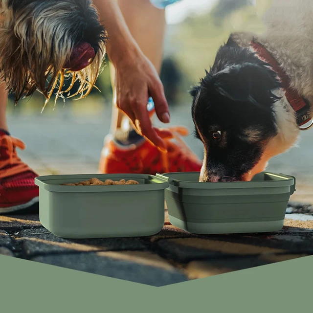 Thickened Folding Pet Bowls Outdoor Pet Double Bowls Tableware Travel Dog Feeder Bowls Pet Supplies Portable Dog Bowls 3