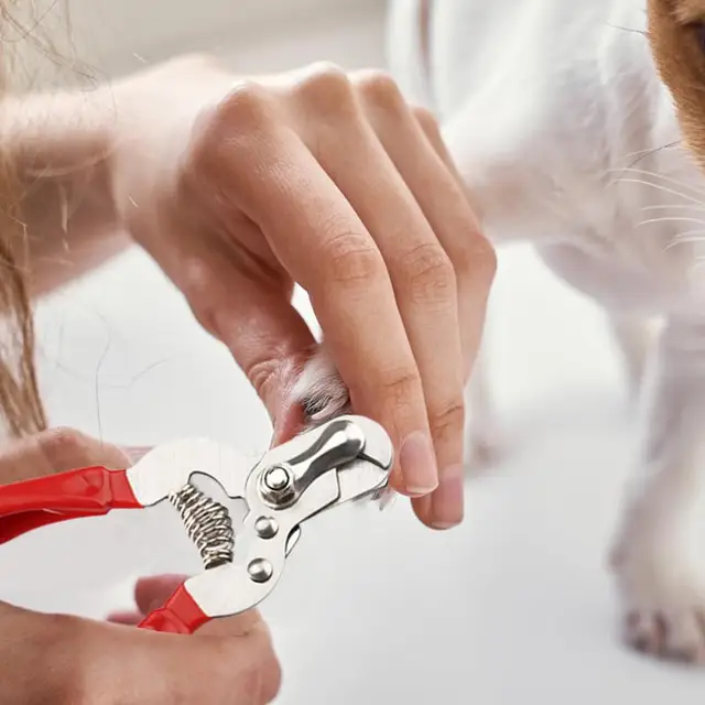 Nail Clippers For Dogs Safe Puppy Nail Clippers Dog Nail Cutter Stainless Steel Cat Nail Trimmer Dog Nail File Pet supplies