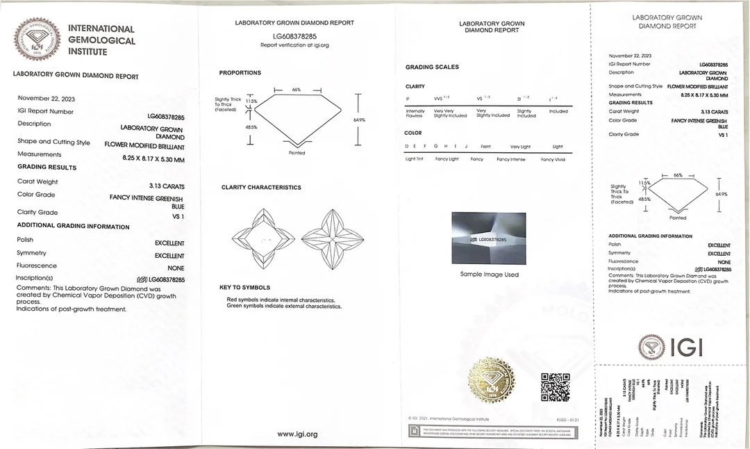 IGI 3.13CT Blue Flower Shape LGD CVD Diamonds Stone Fancy Intense Greenish Blue with igi Certificate Lab Grown Diamond