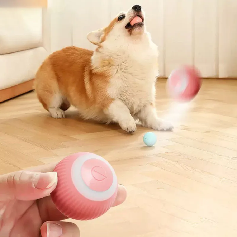Dog Toy Pet Training Toy Electric Auto Rolling Smart Dog Toys For Dogs