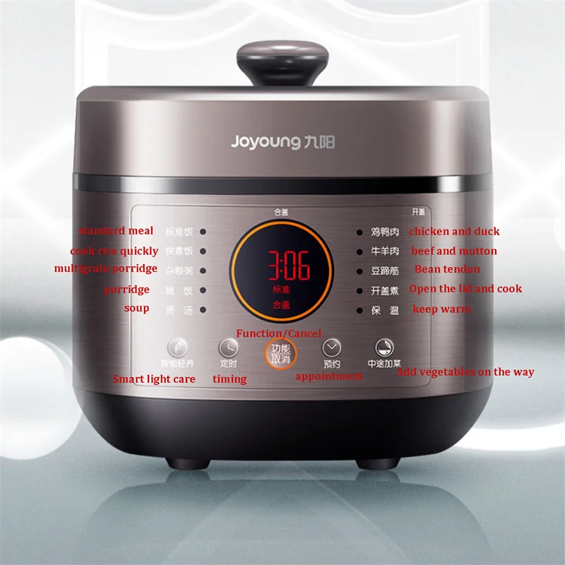 5L Large Capacity Electric Pressure Cooker 2 Inner Pots Multifunctional Smart High Pressure Cooker Meat Slow Intelligent