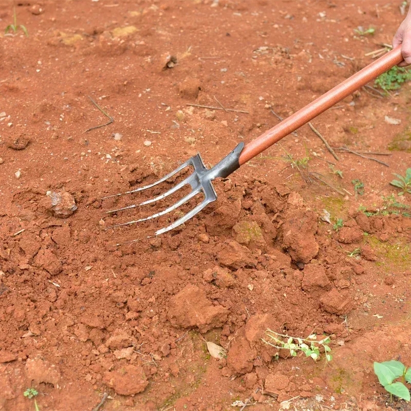 1Pcs Agricultural Digging Fork 4-Tine Carbon Steel Garden Spading Fork Field-Breaking Manure Fork Outdoor Land-Opening Tools 5