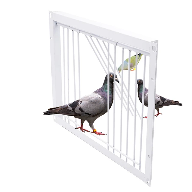 Pigeon Cage Door One Way Entrance Door Bird T Trap Birdcage Iron Wire Trap  Door for Racing Pigeon