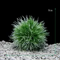 CPO66 White Green