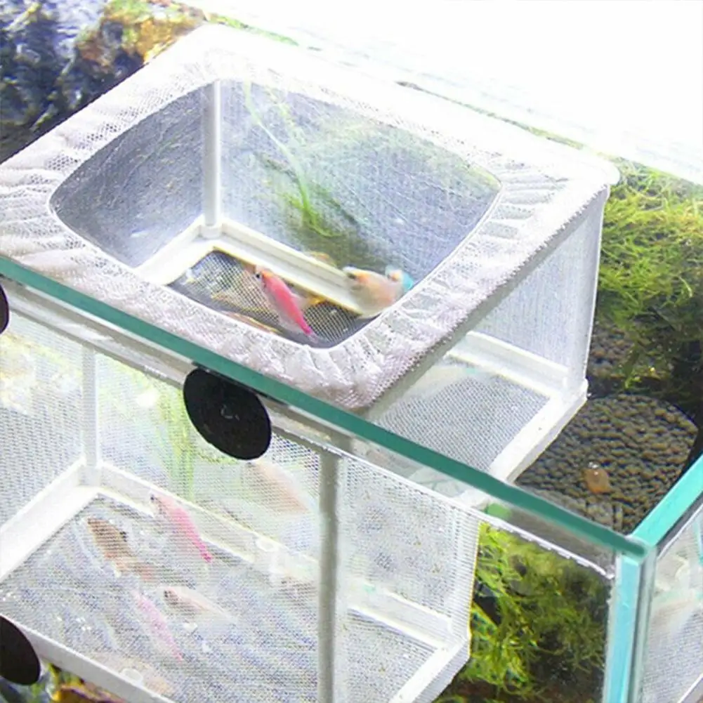 Fish Tank Breeder Net Mesh Fish Breeder Box Hatchery Box Separation Net Incubator Mesh Breeding With Suction Cup